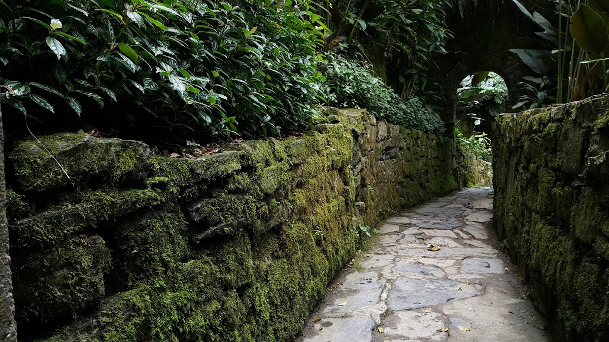 Funeraria Funerales Xilitla